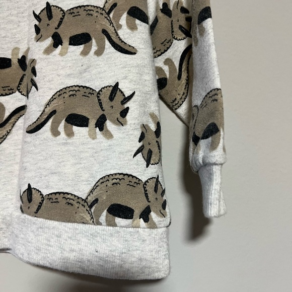 Carter's Size 18 Months Gray Brown Dinosaur Pull Over Long Sleeve Sweatshirt - Picture 3 of 7
